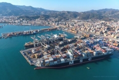 100 container hat dieu xuat sang italia nghi bi ? lu ?a  dn da tai xuat khau