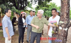 14 ho trong dieu gioi huyen bu gia map duoc tuyen duong khen thuong