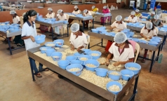 an do   viet nam canh tranh quyet liet tren thi truong dieu the gioi