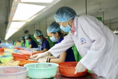 bat ngo  viet nam la nha cung cap so 1 loai hat beo bui nay cho my