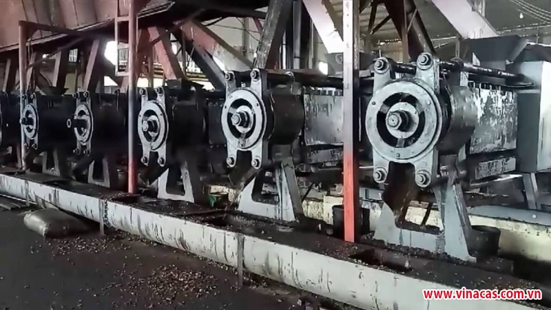 cac cong ty nuoc ngoai dau tu che bien dau vo hat dieu tai campuchia
