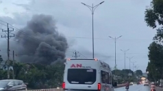 chay lon tai cong ty san xuat hat dieu o dong nai