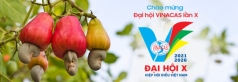 dai hoi nhiem ky x cua vinacas chinh thuc dien ra vao ngay 26 2 2022 tai tp  hcm