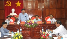 dien tich va san luong dieu o tay nguyen giam nhung khong dang ngai