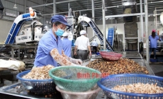 ??doi canh ?? cho nganh dieu vuon xa   bai 1