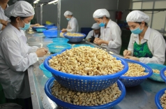 gia dieu giam trung quoc tang manh luong nhap