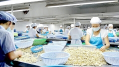 gia dieu tang nhe tro lai