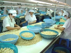 hiep dinh evfta  nang cao chuoi gia tri gia tang nong san viet