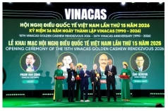 hoi nghi dieu quoc te viet nam lan thu 15 nam 2026 tai ho tram   tp  hcm  nganh dieu viet nam huong toi ben vung tao gia tri cao hon