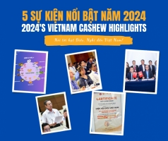 infographic  5 su kien noi bat cua nganh dieu viet nam 2024