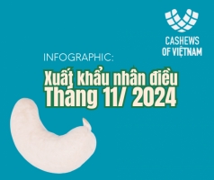 infographic  top 10 thi truong va doanh nghiep xuat khau dieu nhan hang dau viet nam thang 11 2024