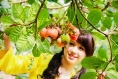 infographic  tu hao nganh dieu viet nam   dau an xuat khau 2025