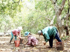 khac phuc van de trong chinh sach nong nghiep hien hanh