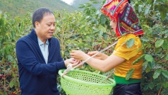 lam chu gia hang hoa va dong tien toan cau