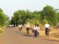 linh vuc trong trot  lam sao vuot qua nguong cao cua nam 2018