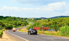 mot so y kien ve rung va nganh go viet nam