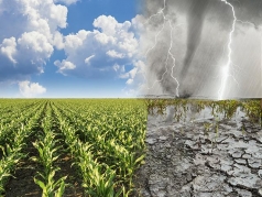 nam 2026 nang nong den som keo dai gay gat hon