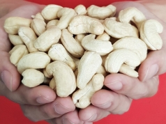 nganh dieu viet nam dat muc tieu duy tri moc 5 ty usd xuat khau trong nam 2026