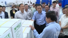 nganh dieu viet nam giua dai dich covid 19   ky 2    nganh dieu doan ket huong toi tuong lai