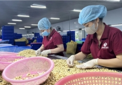 nganh hat dieu viet nam truoc lan song tai cau truc toan cau