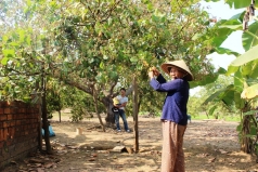 nguoi trong dieu o tay nguyen tim huong di ben vung