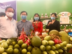 nong san viet nam co mat tren 186 quoc gia va vung lanh tho
