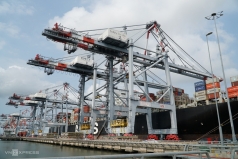 oecd keu goi viet nam mo cua nganh van tai cho nuoc ngoai