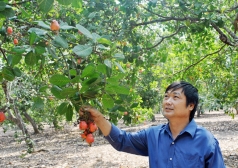 phat trien kinh te trang trai cao su dieu tren dia ban tinh binh phuoc