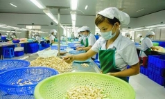 phu yen  kim ngach xuat khau nam 2020 dat 90  ke hoach