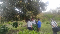 san xuat theo chuoi gia tri doanh thu cac hop tac xa tang 15   20