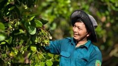 sau sap nhap voi binh phuoc lan dau tien tinh dong nai to chuc le hoi cho qua dieu