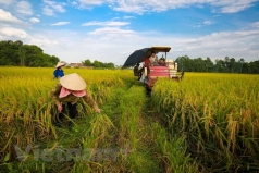 tap trung go kho cho nganh nong nghiep nhung thang cuoi nam
