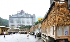 thi truong trung quoc  ??hat hoi ?? nong san viet dieu dung  lai lo diem yeu vi virus corona