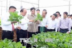 thu tuong nguyen xuan phuc  nam 2025 nong nghiep phai dung top 10 the gioi ve xuat khau