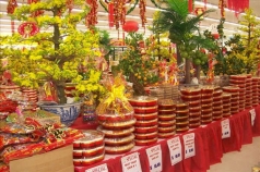 vao mua san xuat hang tet