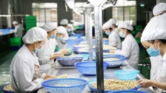 viet nam nhap sieu tren 173 trieu usd tu    nigeria