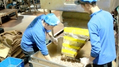 xuat nhap khau dieu  bien dong kho doan vi covid 19