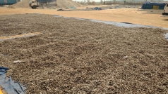 xuat nhap khau viet nam va campuchia thang 8 2020  xuat sieu gan 255 trieu usd
