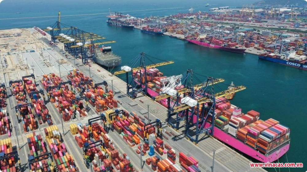 canh bao doanh nghiep xnk nong san  sap bay lua dao quoc te mot doanh nghiep ho tieu mat trang 600 000 usd