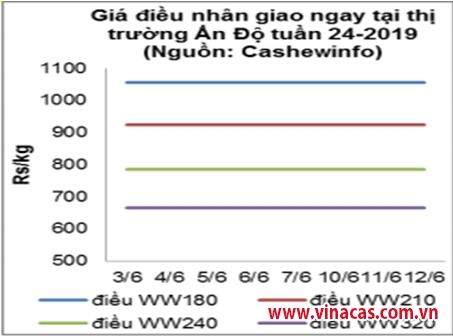 tt hat dieu thang 6 2019 gia on dinh