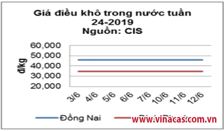 tt hat dieu thang 6 2019  gia on dinh