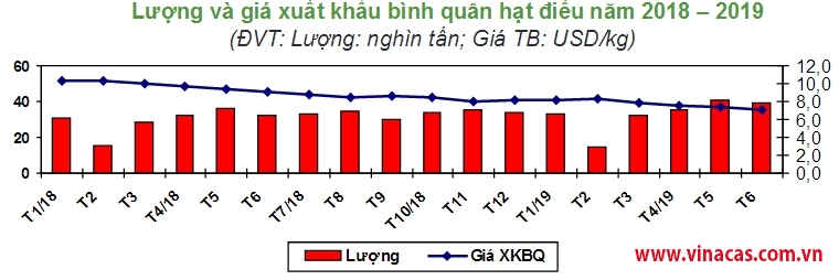 tt hat dieu thang 6 2019 gia on dinh