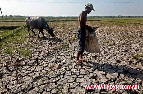 nong nghiep doi mat el nino lich su 60 nam