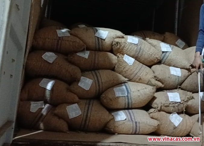 huong dan nhap khau dieu tho tu chau phi  kiem dich   dua hang vao kho   bao bi nhan mac