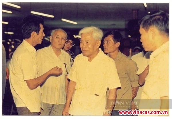 tu mot lon hat dieu cua ong pham hung viet nam co nganh xuat khau dieu ty do top hang dau the gioi