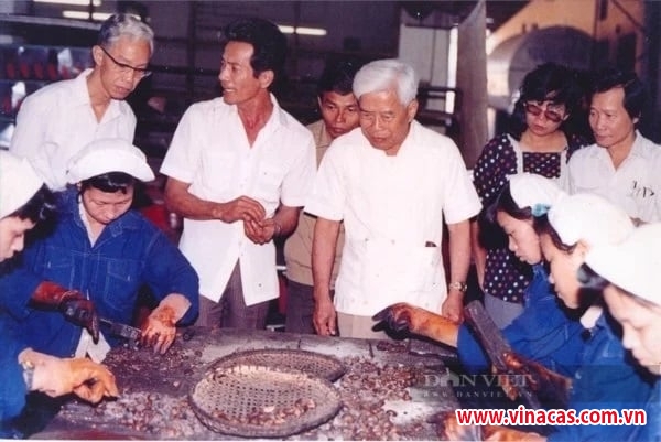 tu mot lon hat dieu cua ong pham hung viet nam co nganh xuat khau dieu ty do top hang dau the gioi