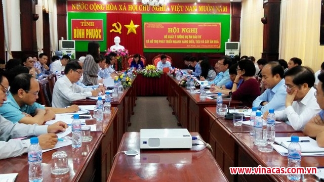 binh phuoc xin vay von oda de  ??giai cuu ??    cay dieu