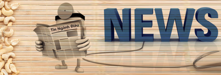 Tin Ngành Điều