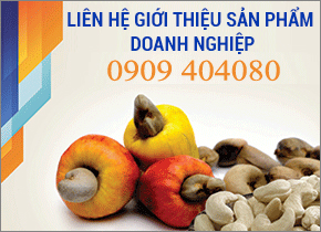 Banner quang cao 2