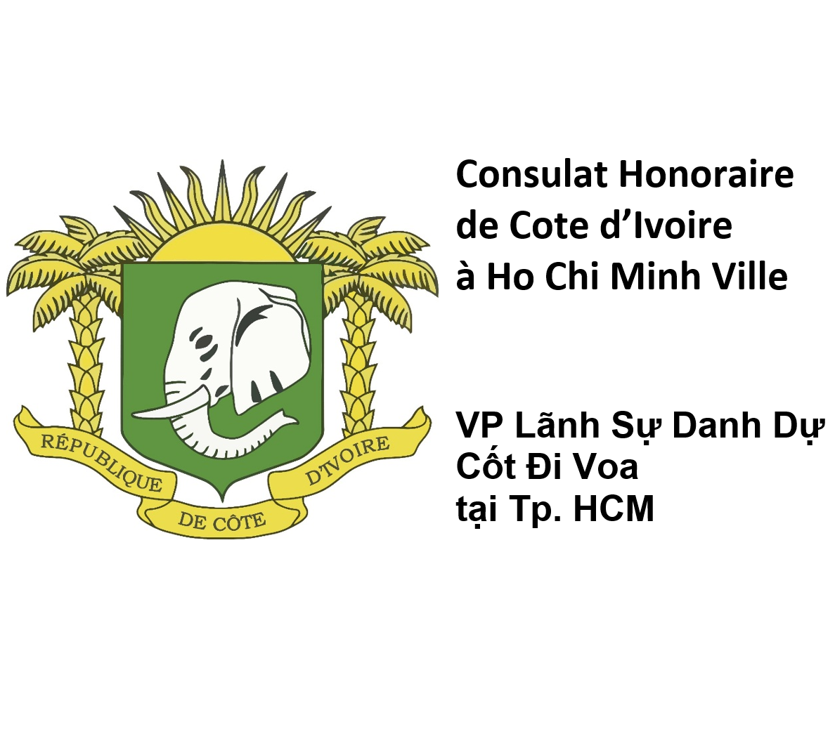 Logo VP Lanh su DD IVC tai VN